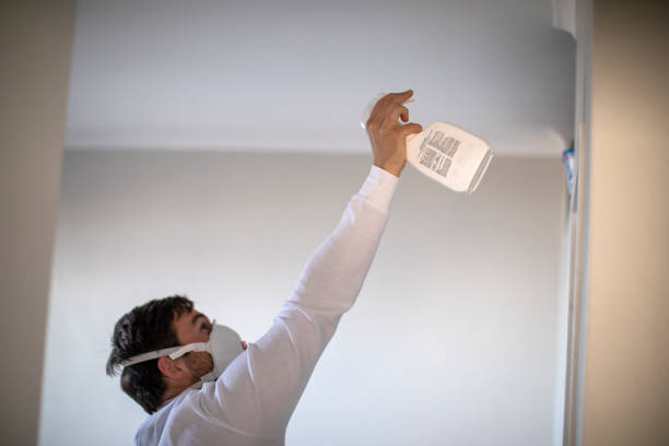 Best Commercial Mold Removal  in Brockway, PA