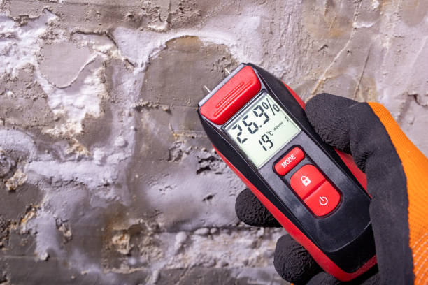 Best Residential Mold Removal  in Brockway, PA