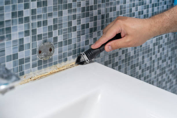 Best Mold Remediation  in Brockway, PA